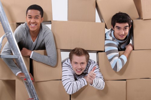 Packing and arranging boxes for short-term storage in Kenley